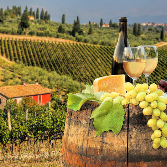 Wine Tastings in Florence and Surroundings